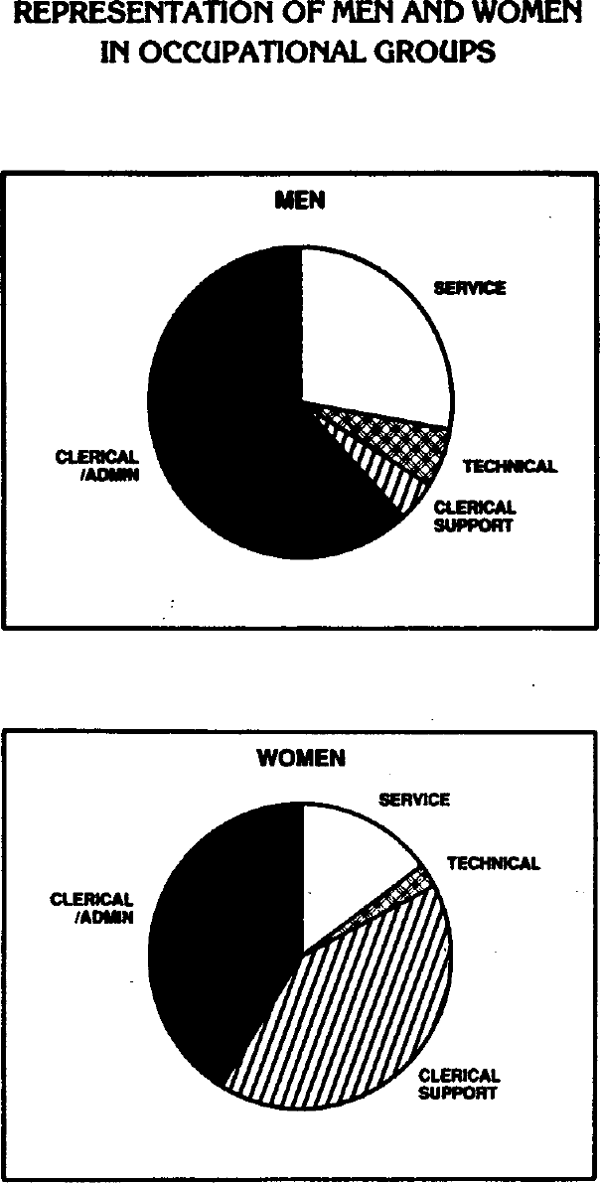 Graph Showing Representation of Men and Women in Occupational Groups