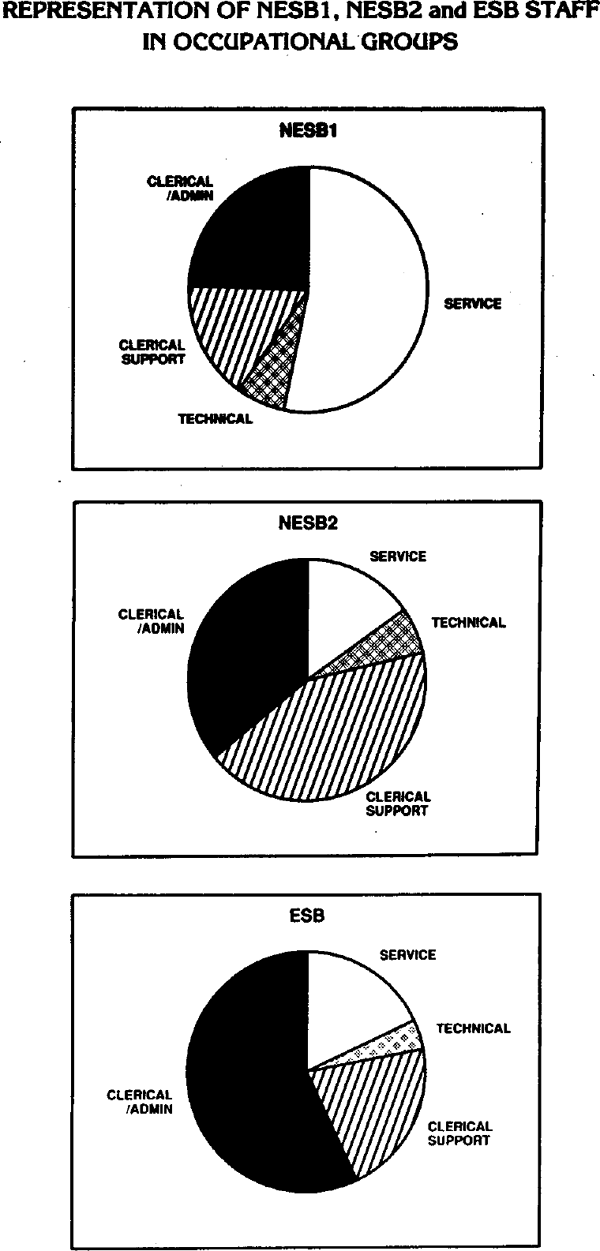 Graph Showing Representation of NESB1, NESB2 and ESB Staff in Occupational Groups