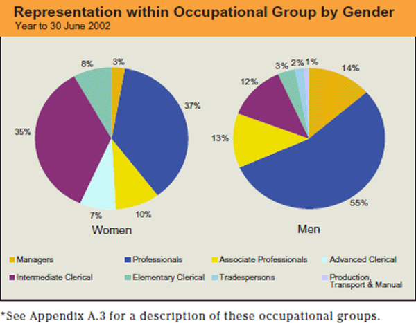 Graph: Representation within Occupational Group by Gender