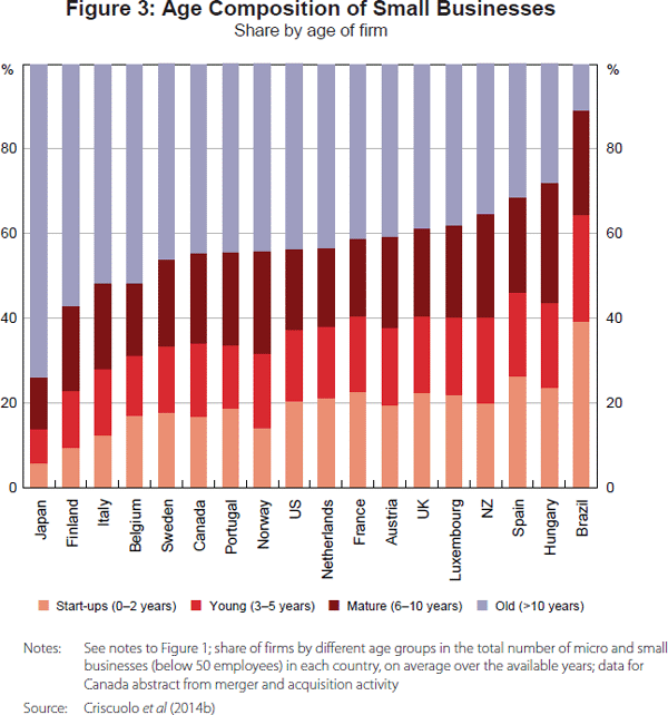 Figure 3: Age Composition of Small Businesses