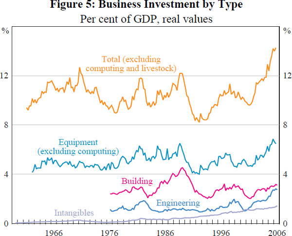 Figure 5: Business Investment by Type