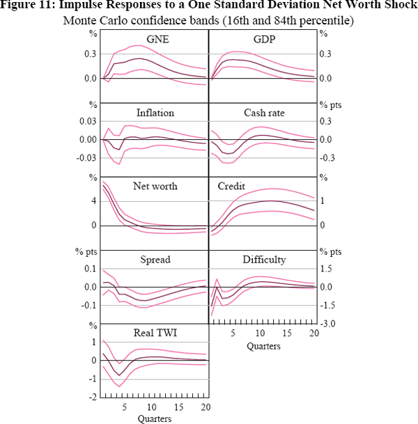 Figure 11: Impulse Responses to a One Standard Deviation Net Worth Shock