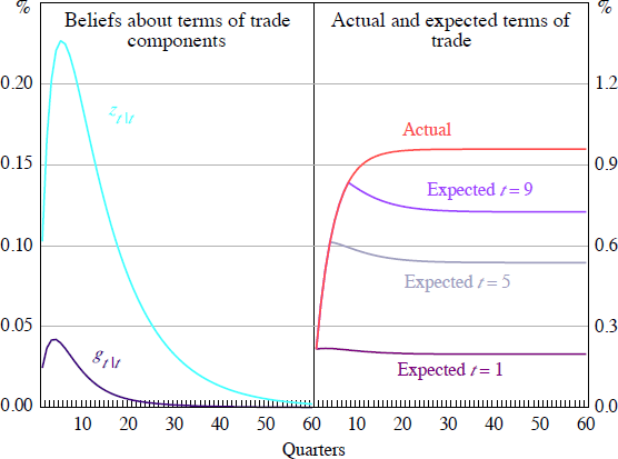 Figure 6: Beliefs Following Terms of Trade Shock